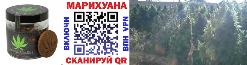 Еда ТГК конопля Новоалександровск