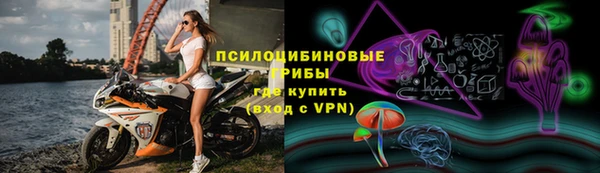 индика Магадан
