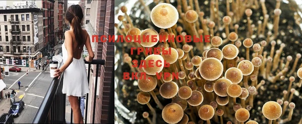 индика Магадан
