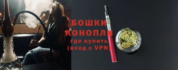 винт Липки