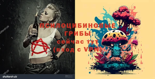 индика Магадан