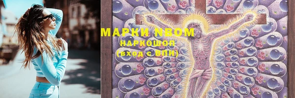 индика Магадан