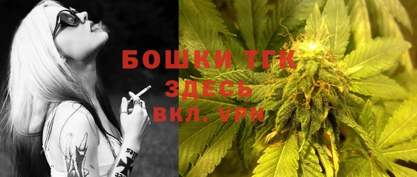 индика Магадан
