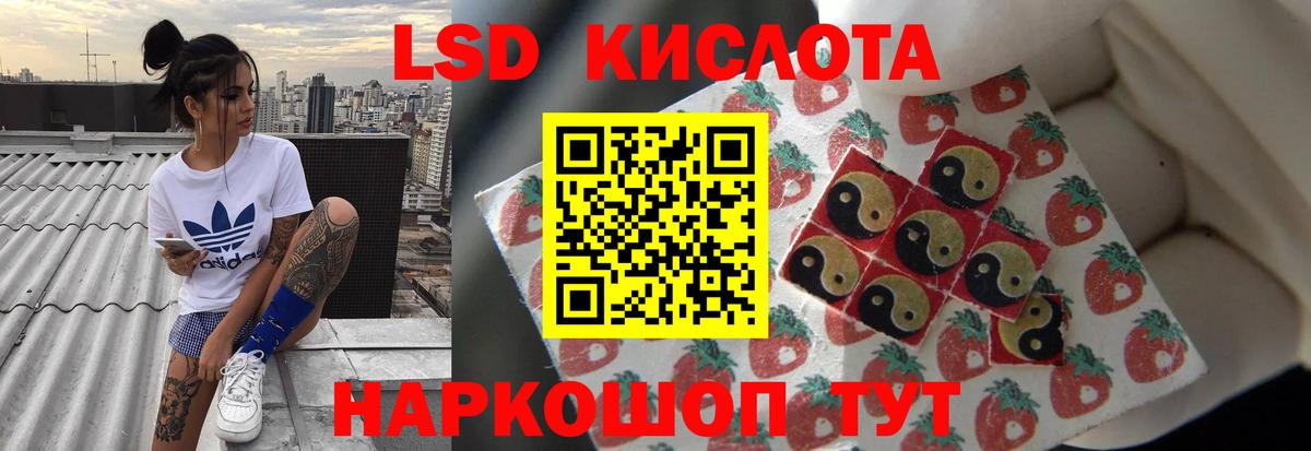 LSD-25 экстази кислота  Вход с VPN  LSD-25 экстази ecstasy  Новоалександровск 