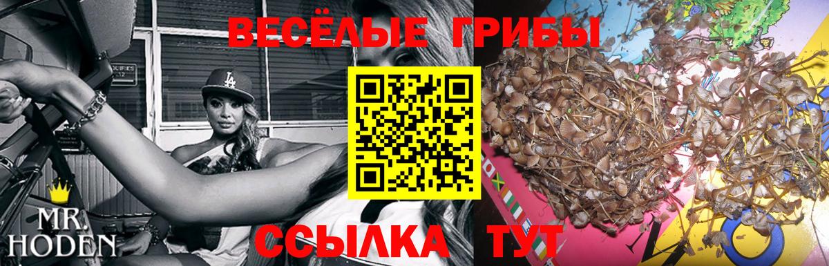 Галлюциногенные грибы мицелий Новоалександровск