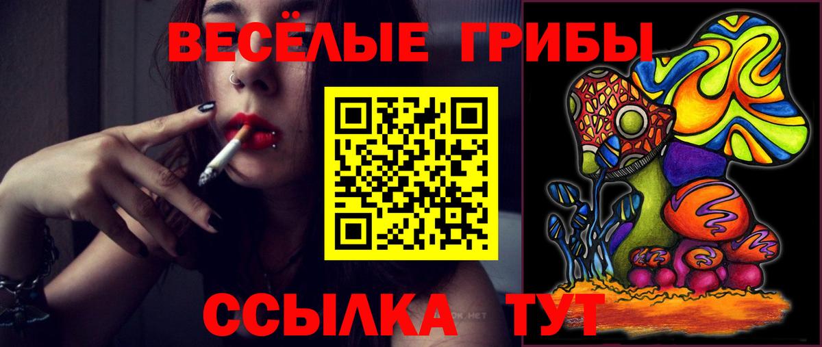 Псилоцибиновые грибы ЛСД Новоалександровск